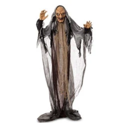 Geanimeerde Heks Met Licht En Geluid