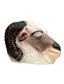 Masker Ram Latex