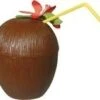 Hawai Coconut Cup Met Bloem -Themakleding-Benelux 254fce1d1734e071248c840e6b3d603d2835088e