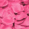 Rozenblaadjes Roze -Themakleding-Benelux 302d75c4daaffedae77ca521c08a6b52438fd3fb