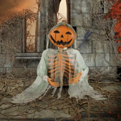 Pompoen Skelet Decoratie -Themakleding-Benelux 63de3fa9e3c892906831eb466856bf87776af95a