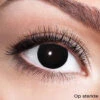 Partylens Op Sterkte Black Out -Themakleding-Benelux 6d996dbd5fce0939c6af30123152d529e7e5a5af