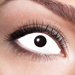 Party Lenzen Sclera White