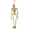 Skelet Hangdecoratie 2 Skelet Hangdecoratie -Themakleding-Benelux 87f3152fe11707ea87d6358c7e0e9b1c9e463bfc