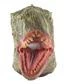 Masker Dinosaurus Latex