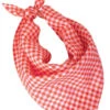 Oktoberfest Halsdoek Rood Wit -Themakleding-Benelux 8afffff712fc4cdbb46ee0f0f55eeaaf0f0fbbbc