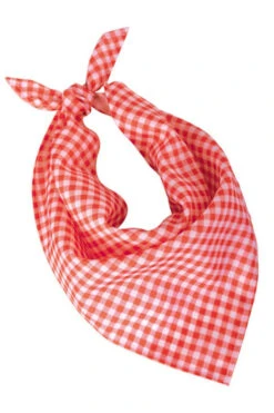 Oktoberfest Halsdoek Rood Wit