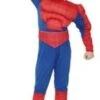 Spiderman Gespierd II Kids -Themakleding-Benelux 8f66e045d2a21c861b750c305c7c880d4bdb0bcd