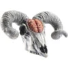 Latex Ram Skull Hoofd | Deco -Themakleding-Benelux 95b0ae25f34fd3d3b75830ca82f04639c8201a20