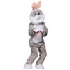 Paashaas Kostuum Mascotte Gijs | Bunny Promo Outfit -Themakleding-Benelux 9a0ffc81c8c2d32ff714f0dd93605bc3a0e5c470