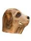 Masker Hond Latex