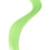 Haar Extensions Neon Groen -Themakleding-Benelux 9edc94412fa957ae055e39ee9453d65442b5ec8b