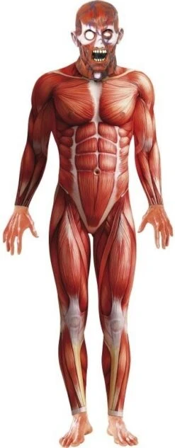 Anatomie Man Kostuum