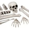 Bones Set
