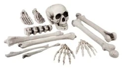 Bones Set