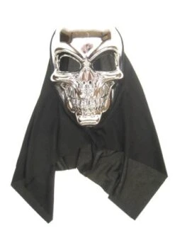 Zilveren Skull Masker