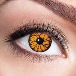 Party Lenzen Monster Orange